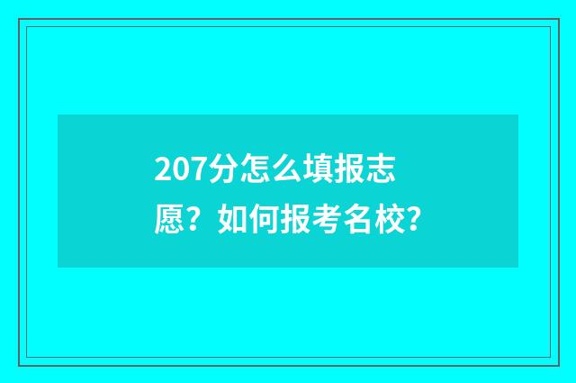 207分怎么填报志愿？如何报考名校？