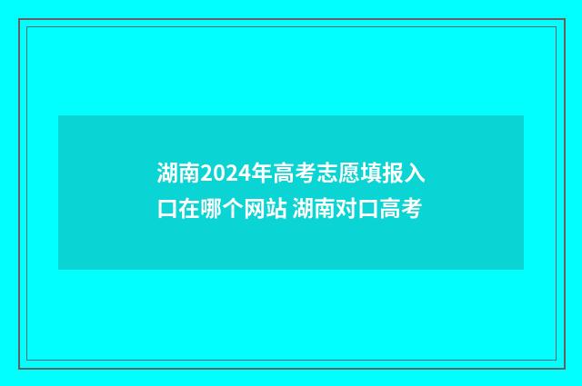 湖南2024年高考志愿填报入口在哪个网站 湖南对口高考