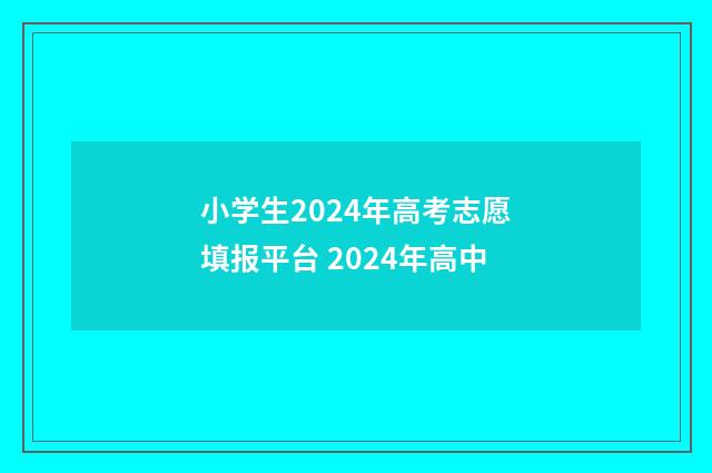 小学生2024年高考志愿填报平台 2024年高中