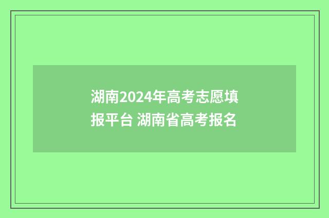 湖南2024年高考志愿填报平台 湖南省高考报名