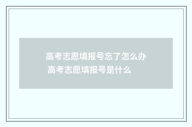 高考志愿填报号忘了怎么办 高考志愿填报号是什么