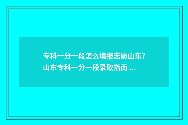 专科一分一段怎么填报志愿山东？山东专科一分一段录取指南 专科一分一段怎么查
