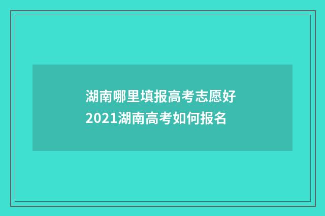 湖南哪里填报高考志愿好 2021湖南高考如何报名