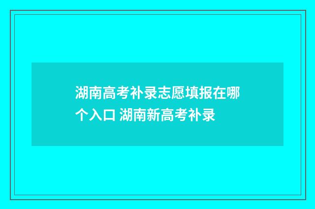 湖南高考补录志愿填报在哪个入口 湖南新高考补录