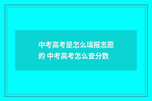 中考高考是怎么填报志愿的 中考高考怎么查分数