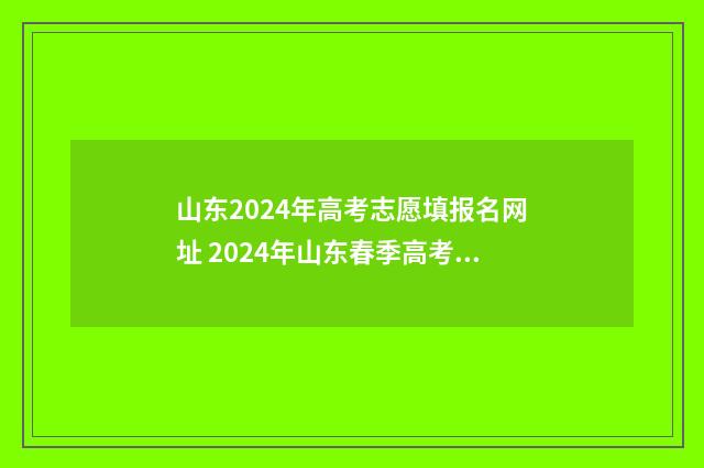 山东2024年高考志愿填报名网址 2024年山东春季高考招生学校