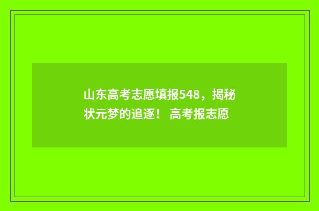 山东高考志愿填报548，揭秘状元梦的追逐！ 高考报志愿