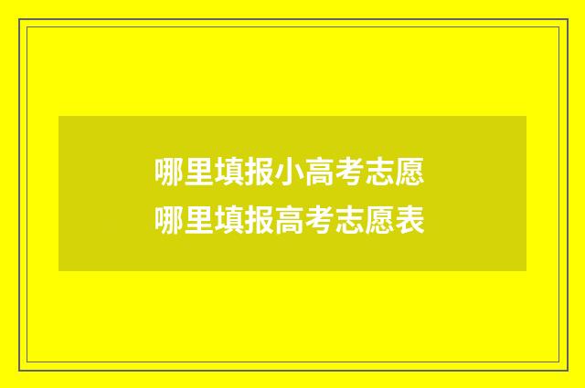 哪里填报小高考志愿 哪里填报高考志愿表