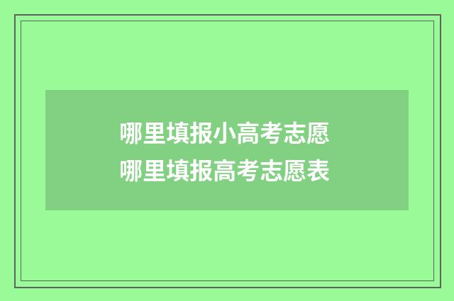 哪里填报小高考志愿 哪里填报高考志愿表