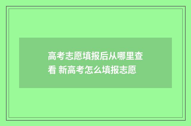 高考志愿填报后从哪里查看 新高考怎么填报志愿