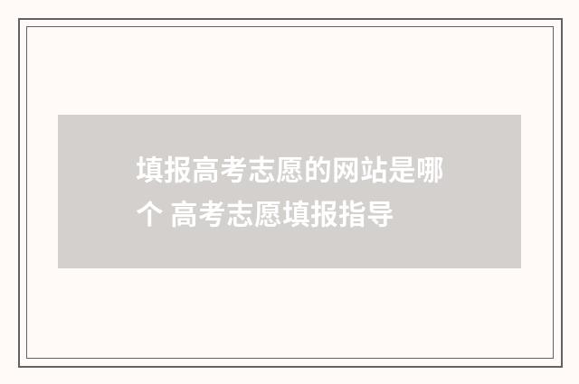 填报高考志愿的网站是哪个 高考志愿填报指导