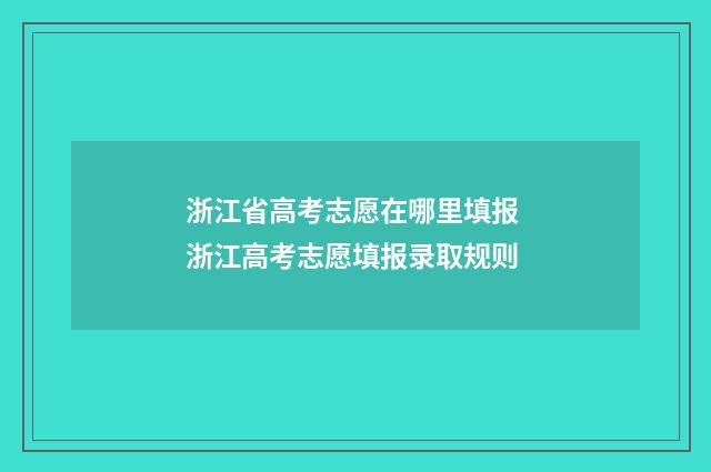 浙江省高考志愿在哪里填报 浙江高考志愿填报录取规则