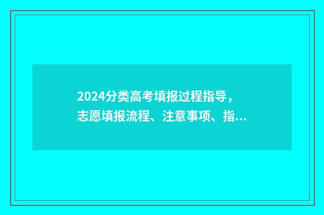2024分类高考填报过程指导，志愿填报流程、注意事项、指南 高考分类招生考试时间