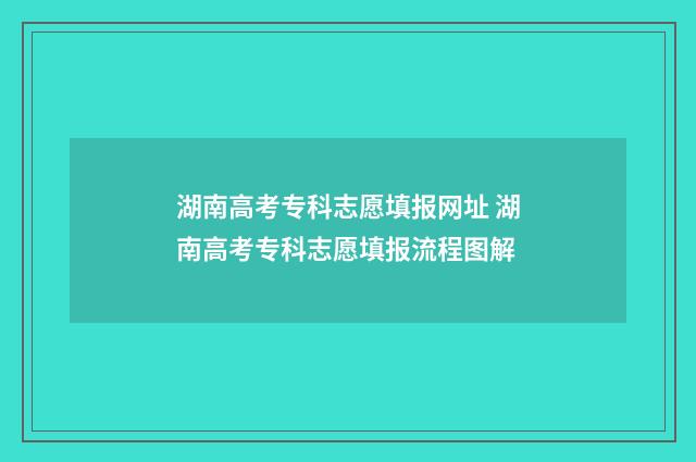 湖南高考专科志愿填报网址 湖南高考专科志愿填报流程图解