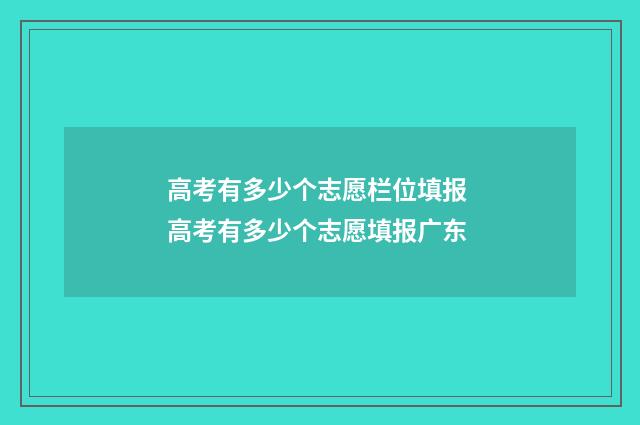 高考有多少个志愿栏位填报 高考有多少个志愿填报广东