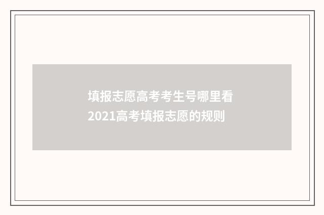 填报志愿高考考生号哪里看 2021高考填报志愿的规则