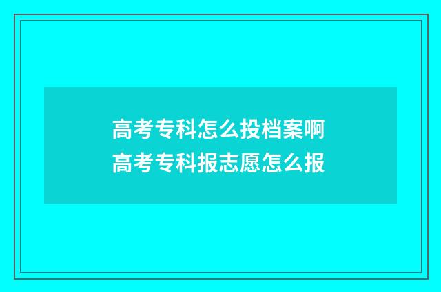 高考专科怎么投档案啊 高考专科报志愿怎么报