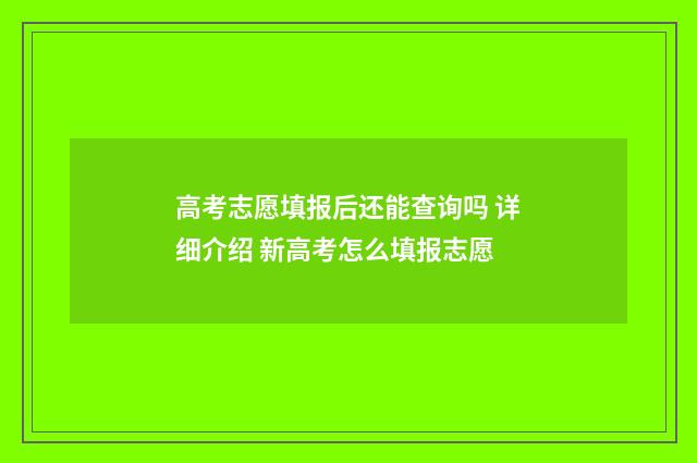 高考志愿填报后还能查询吗 详细介绍 新高考怎么填报志愿