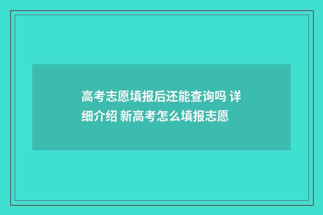 高考志愿填报后还能查询吗 详细介绍 新高考怎么填报志愿