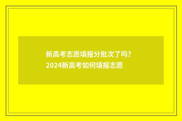 新高考志愿填报分批次了吗？ 2024新高考如何填报志愿