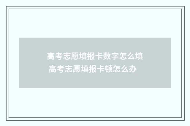 高考志愿填报卡数字怎么填 高考志愿填报卡顿怎么办