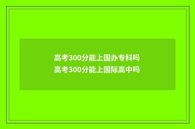 高考300分能上国办专科吗 高考300分能上国际高中吗