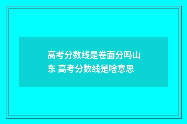 高考分数线是卷面分吗山东 高考分数线是啥意思