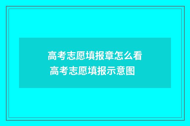 高考志愿填报章怎么看 高考志愿填报示意图