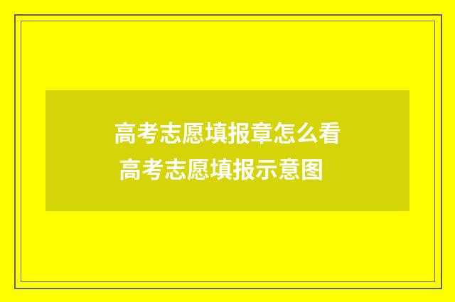 高考志愿填报章怎么看 高考志愿填报示意图