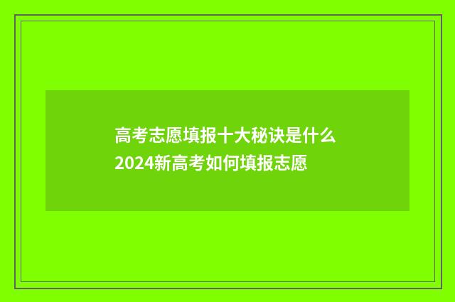 高考志愿填报十大秘诀是什么 2024新高考如何填报志愿