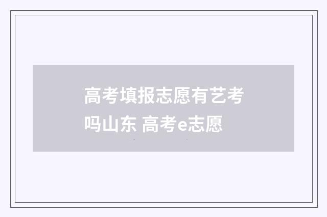 高考填报志愿有艺考吗山东 高考e志愿