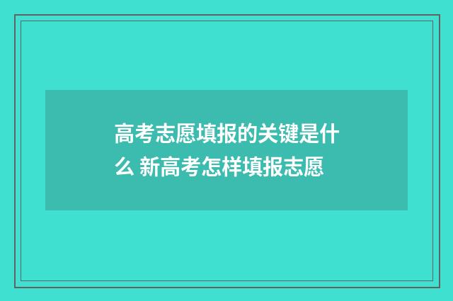 高考志愿填报的关键是什么 新高考怎样填报志愿