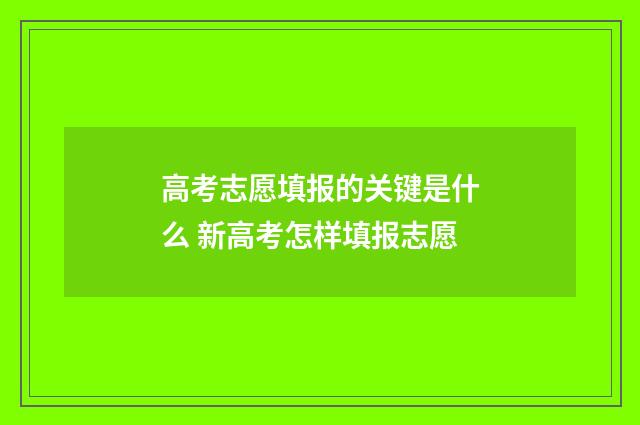 高考志愿填报的关键是什么 新高考怎样填报志愿