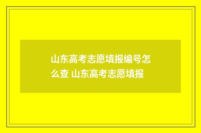 山东高考志愿填报编号怎么查 山东高考志愿填报