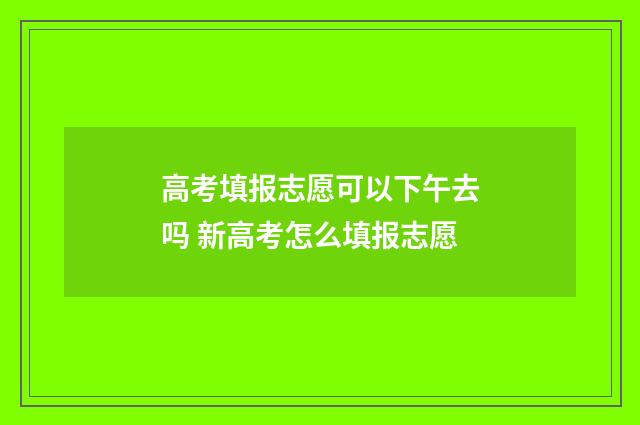高考填报志愿可以下午去吗 新高考怎么填报志愿
