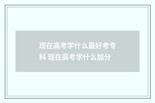 现在高考学什么最好考专科 现在高考学什么加分