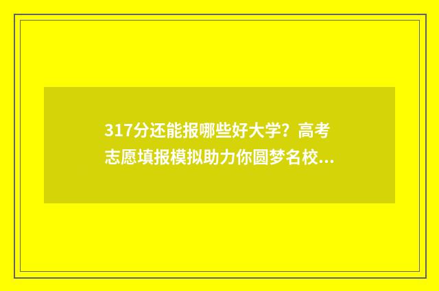 317分还能报哪些好大学？高考志愿填报模拟助力你圆梦名校 317分还能报哪些学校