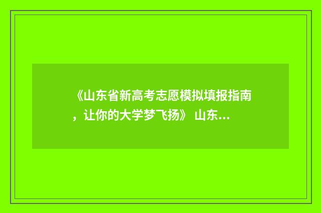 《山东省新高考志愿模拟填报指南，让你的大学梦飞扬》 山东省新高考政策解读