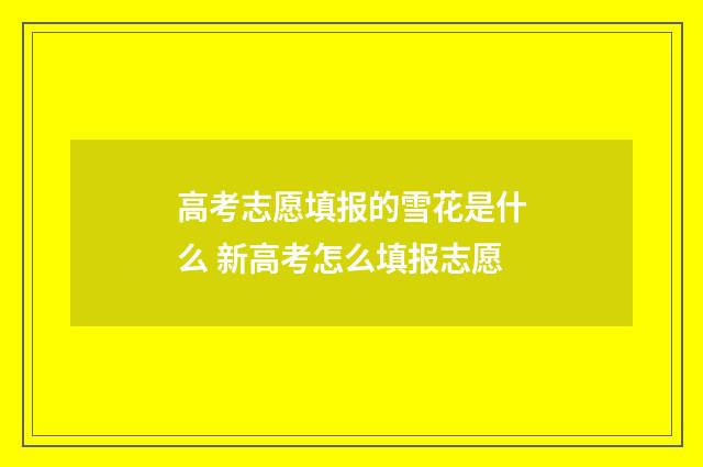 高考志愿填报的雪花是什么 新高考怎么填报志愿