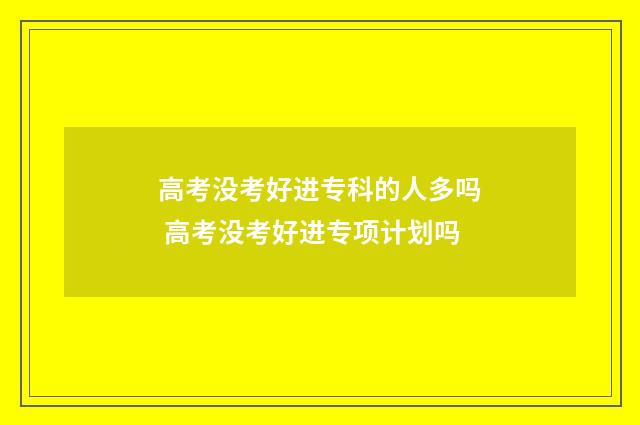 高考没考好进专科的人多吗 高考没考好进专项计划吗