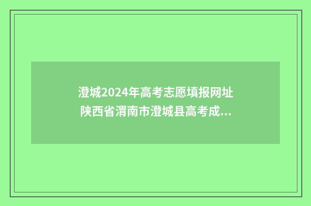澄城2024年高考志愿填报网址 陕西省渭南市澄城县高考成绩