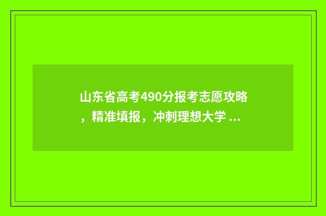 山东省高考490分报考志愿攻略，精准填报，冲刺理想大学 山东省高考490分能上公办本科吗