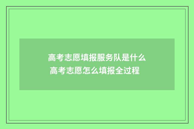 高考志愿填报服务队是什么 高考志愿怎么填报全过程