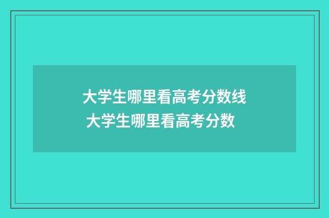 大学生哪里看高考分数线 大学生哪里看高考分数