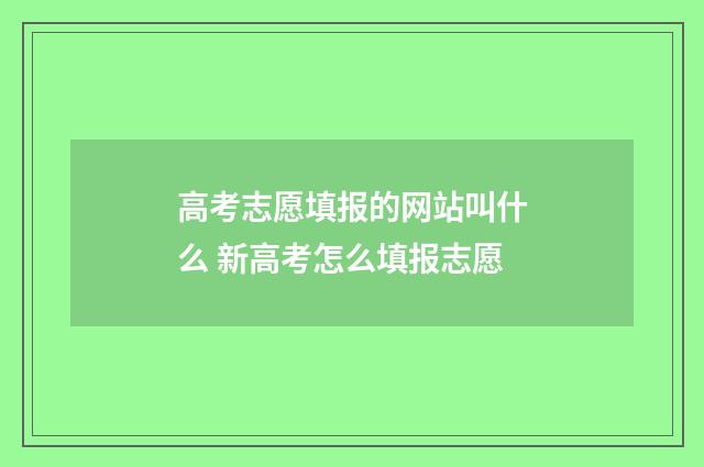高考志愿填报的网站叫什么 新高考怎么填报志愿