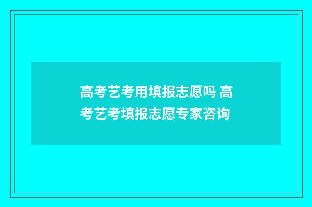 高考艺考用填报志愿吗 高考艺考填报志愿专家咨询