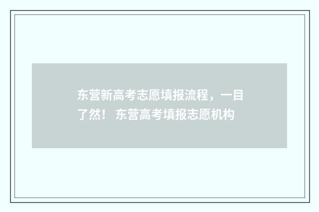 东营新高考志愿填报流程，一目了然！ 东营高考填报志愿机构