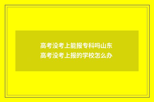 高考没考上能报专科吗山东 高考没考上报的学校怎么办