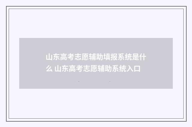山东高考志愿辅助填报系统是什么 山东高考志愿辅助系统入口