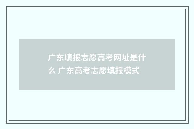 广东填报志愿高考网址是什么 广东高考志愿填报模式